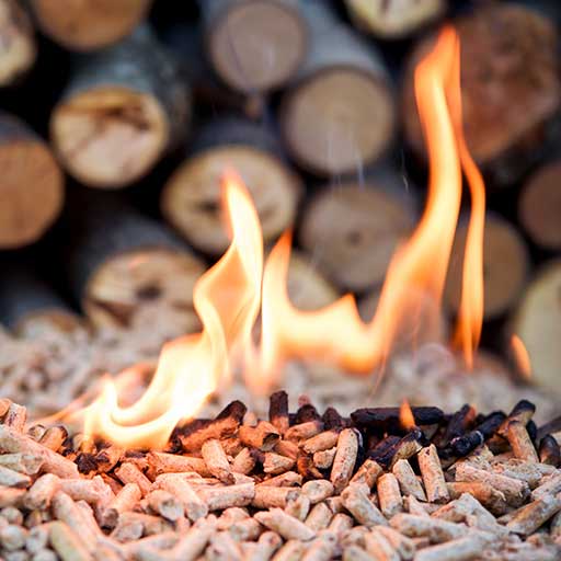 Energie aus Holz | Interationaler Holzmarkt | (c) iStock