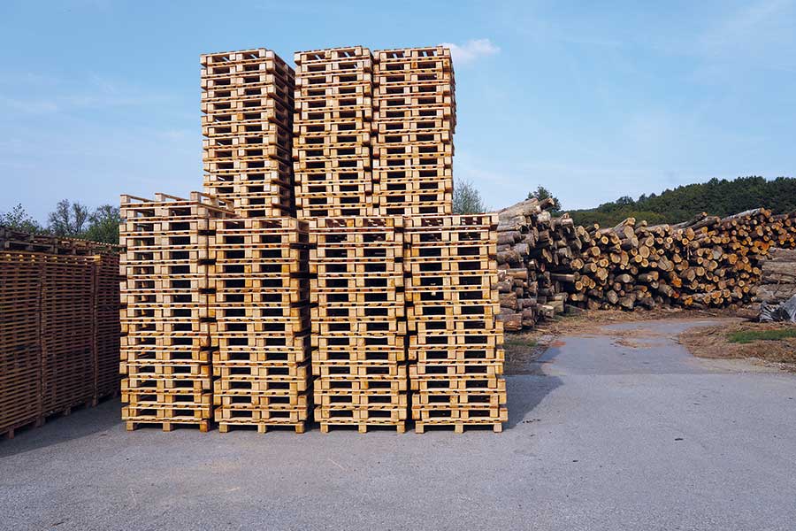 Die kroatische Firma Košćal produziert Holzpaletten verschiedenster Abmaße und erwirtschaftet aus den bei der Produktion anfallenden Holzresten zusätzlich RUF-Holzbriketts. © Fotos: RUF